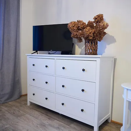 Sunny Apartment Trutnov